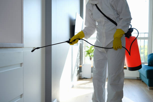 Best Biohazard Mold Removal  in Clinton, OK