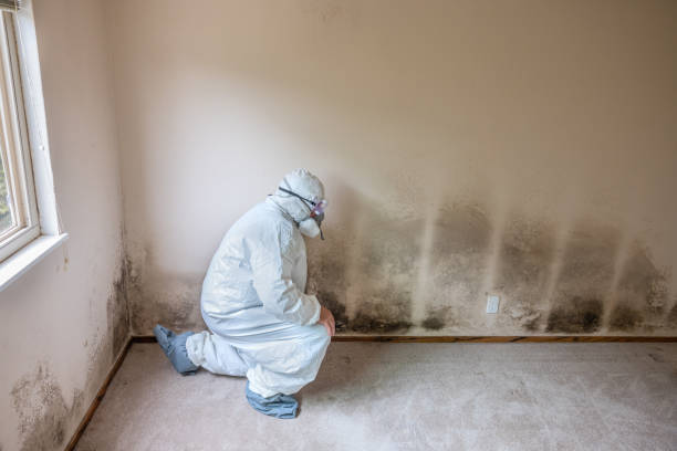 Best HVAC Mold Inspection and Cleaning  in Clinton, OK